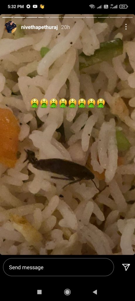 Nivetha Pethuraj Complains To Swiggy After Finding Cockroach In Her Meal (3)