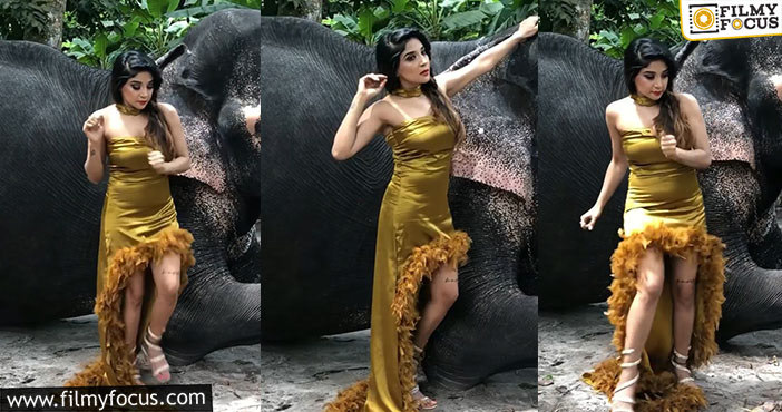 Sakshi's Photoshoot Video With Elephant1
