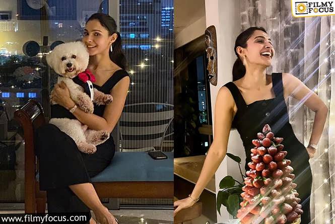 Andrea Jeremiah : நடிகை ஆண்ட்ரியாவின் பிறந்தநாள் கொண்டாட்டம்…  வைரலாகும் ஸ்டில்ஸ்!