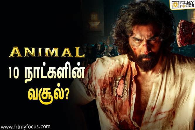 Animal : அடேங்கப்பா… 10 நாட்களில் ரன்பீர் கபூரின் ‘அனிமல்’ செய்த வசூல் இத்தனை கோடியா?