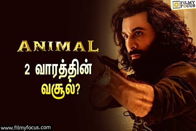 Animal : அடேங்கப்பா… 2 வாரத்தில் ரன்பீர் கபூரின் ‘அனிமல்’ செய்த வசூல் இத்தனை கோடியா?